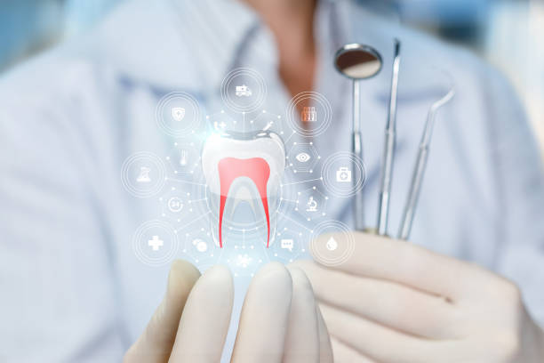 Best Preventive Dentistry  in Leon Valley, TX